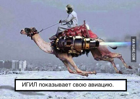 Шокирующие новости