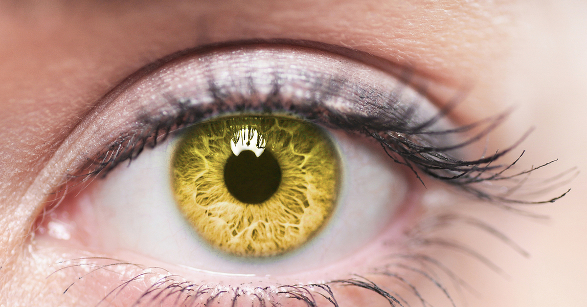 Описание желтых глаз. Желтый цвет глаз. Янтарные глаза. Желто карие глаза. Желтая радужка глаза.