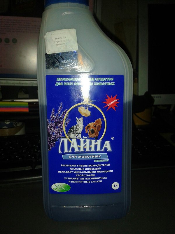 метка кота что это. Смотреть фото метка кота что это. Смотреть картинку метка кота что это. Картинка про метка кота что это. Фото метка кота что это