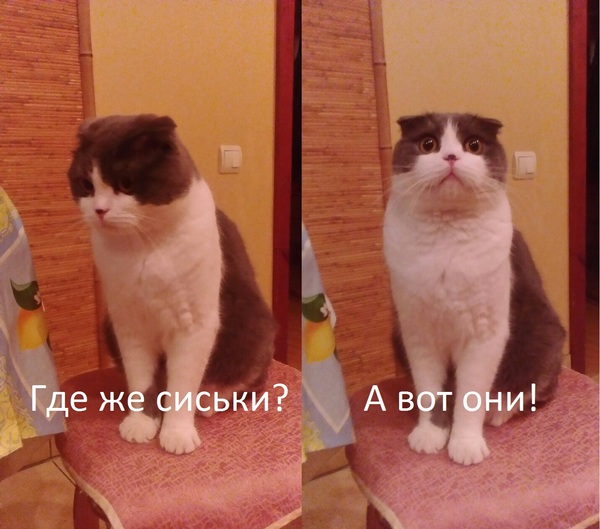 ������ ����^^