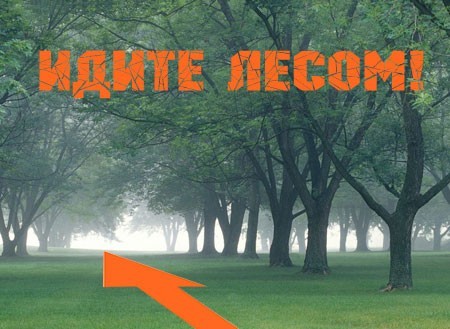 Я просто обожаю людей которые минусят.