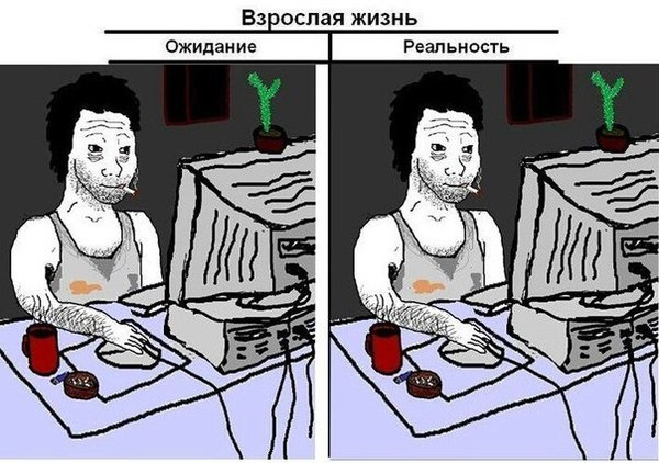 ����� ���������!