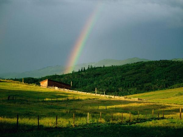 Rainbow