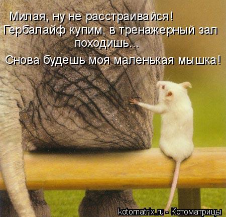 ����� �����������