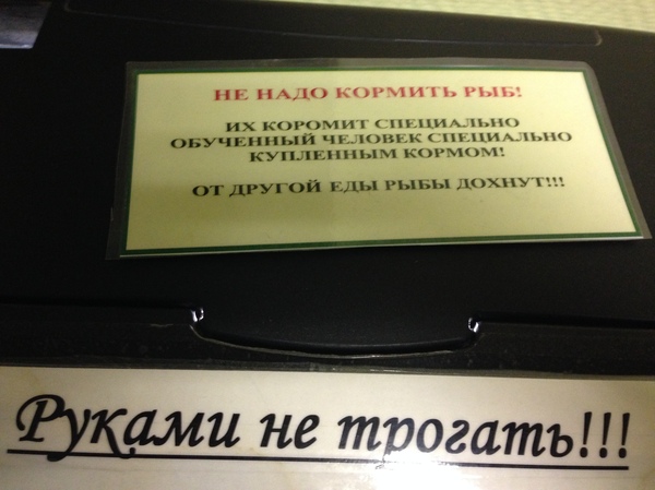 ������� ��������