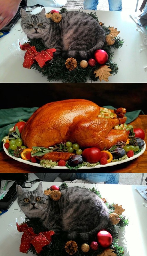 ����������..