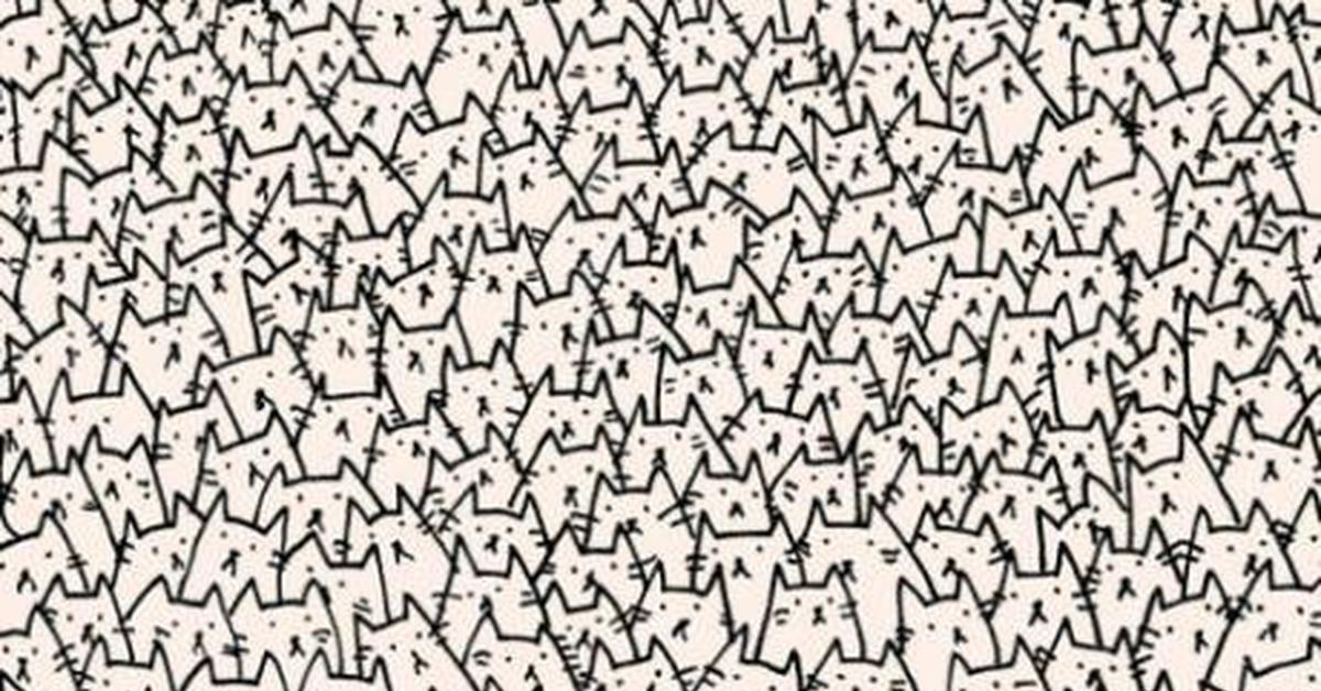 Найди киса. Повторяющийся рисунок. Много нарисованных котов. Найди на картинке. Найди кота среди собак.