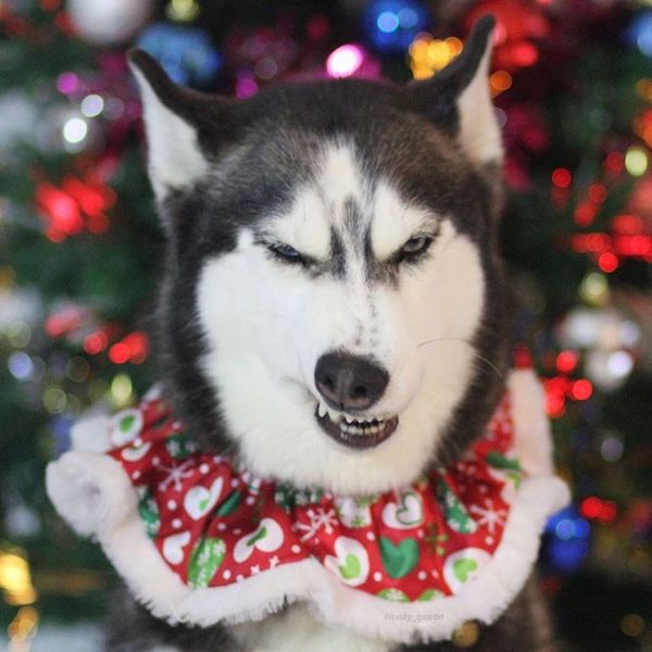 ���-�� ��������� �������