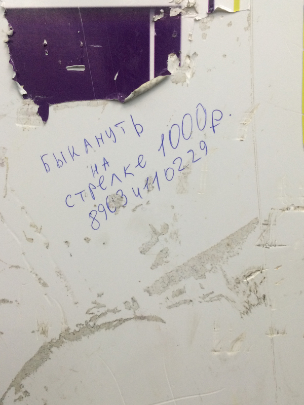 �� ������ ������ �����������!