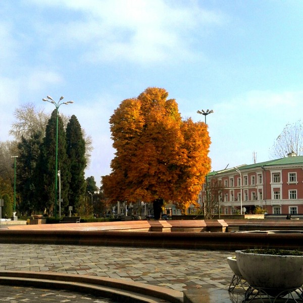 ���� � �������