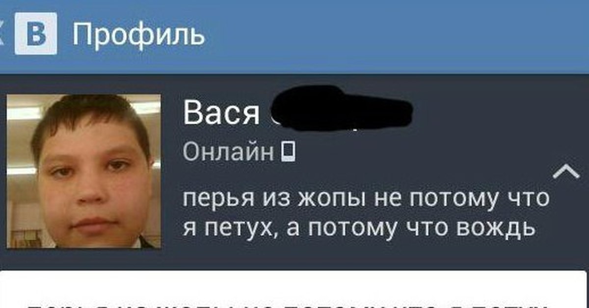 Вася интернет магазин. Вася петух. Вася петух фото. Приколы про Васю петушка. Вася и Кирилл.