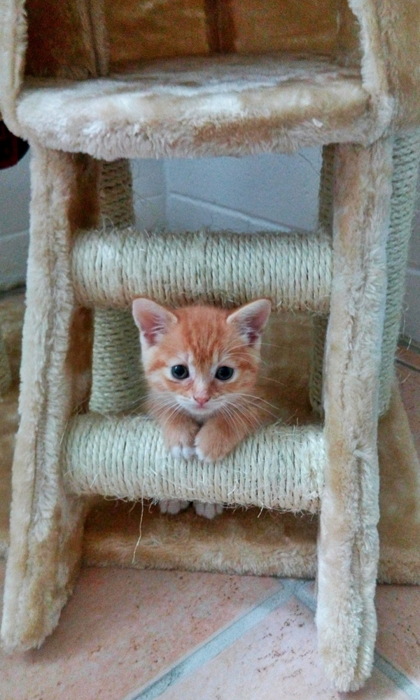 �������� ����������� � ����� ^^