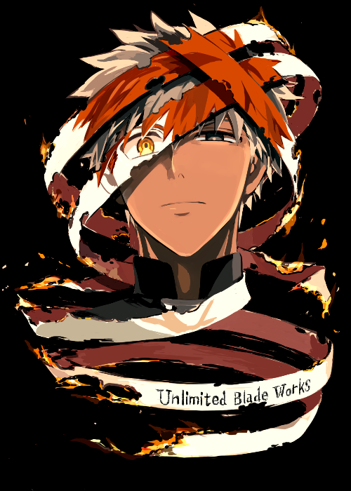 Unlimited Blade Works Fate-stay Night, Archer, Emiya Shirou, Anime Art, 