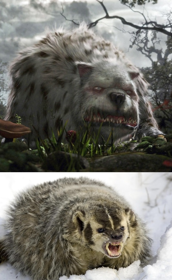 Кто страшнее?