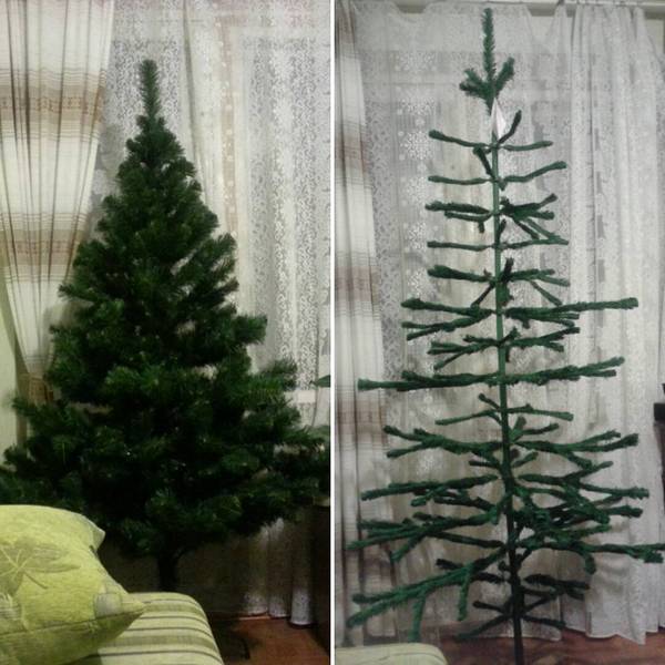 ���� ��������� ��������