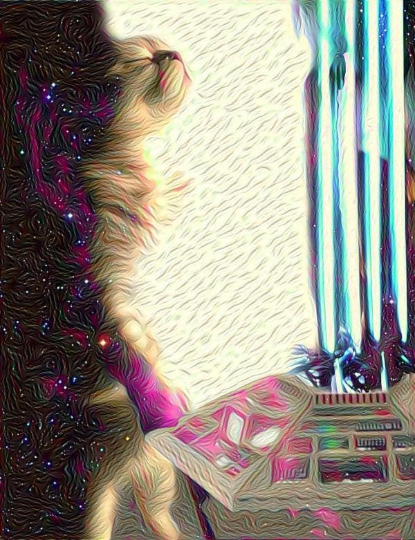 Доктор Кот