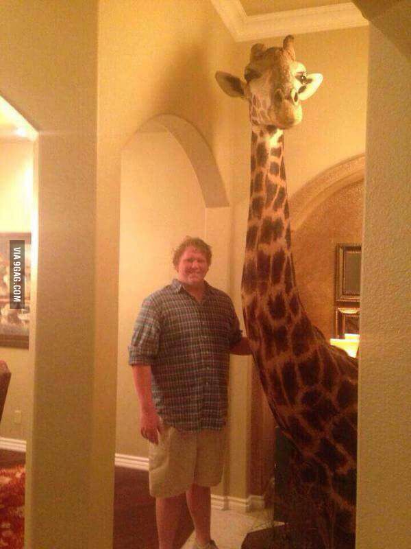 Подкаблучник говорите?