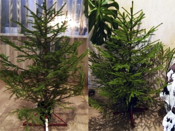 ����� ���������� � ��������� ��� �������!