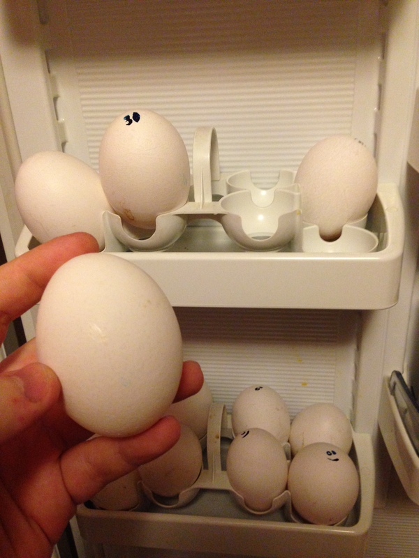 Вот такие гигантские куриные яйца купил сегодня О_О