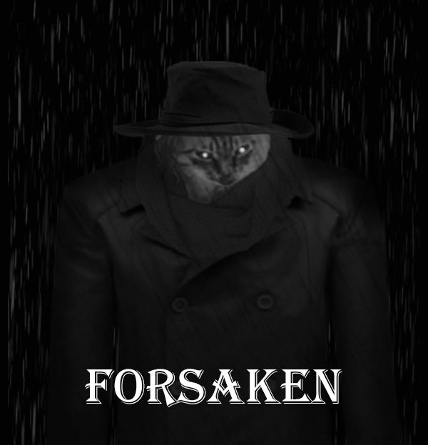 Forsaken cat