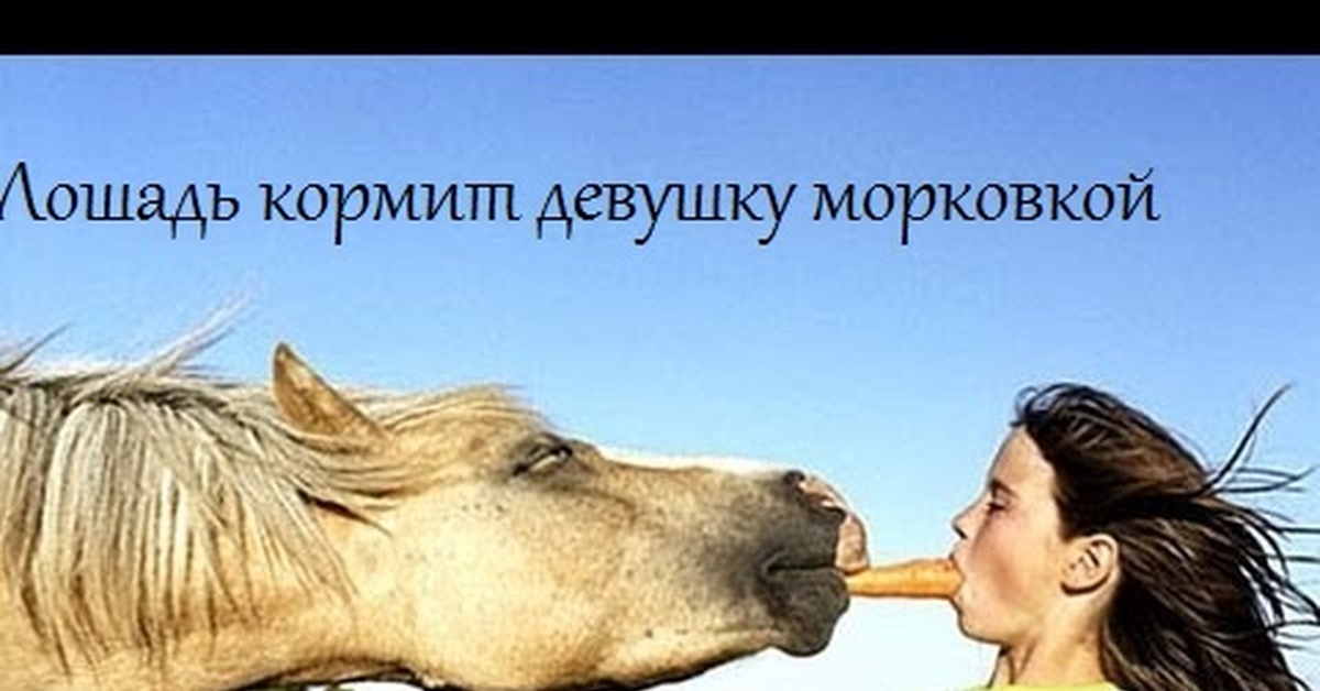 Не знаю, морковку ставить? | Пикабу