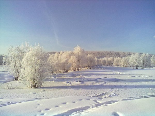 �������� ����