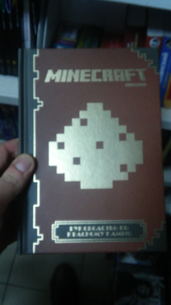   ,     , Minecraft, 