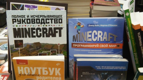   ,     , Minecraft, 