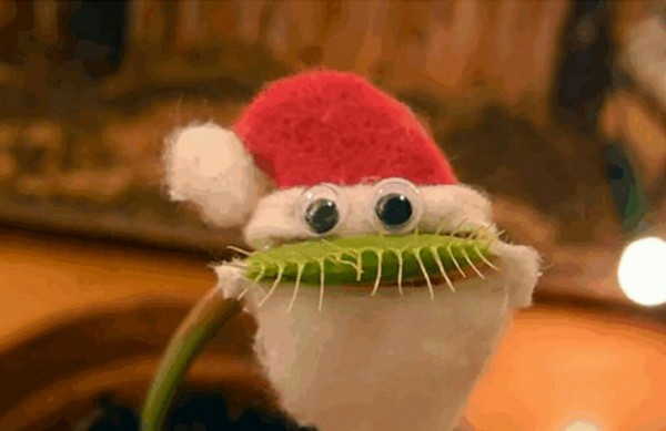 ��� �����  ����� ���������, ��� � ����� ���� �����!