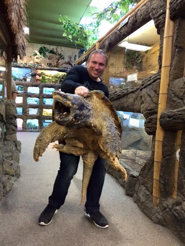 Здоровенная грифовая черепаха и известный заводчик королевских питонов