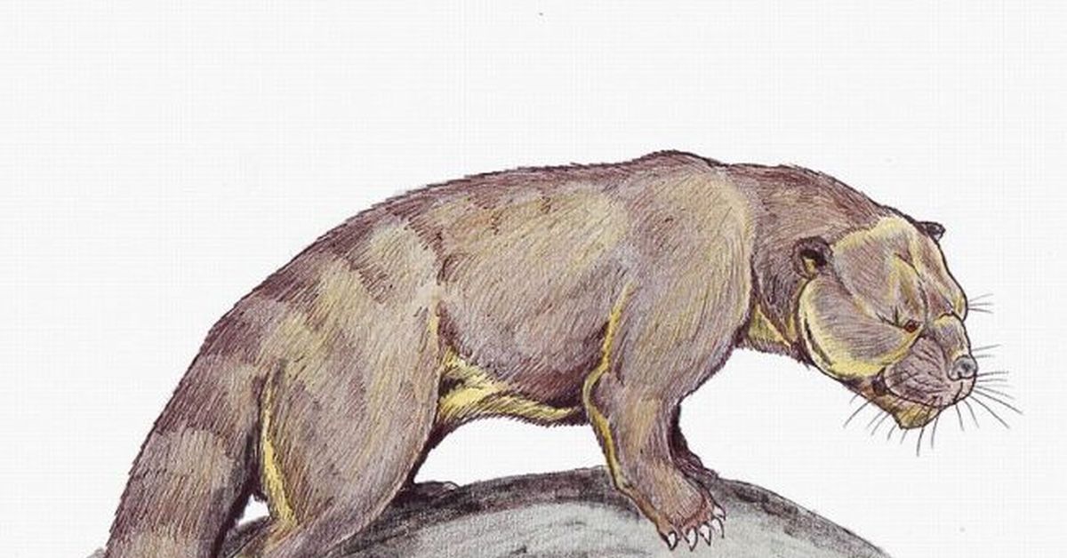 Зденек буриан палеоген период. Динозавры кайнозойской эры. Доисторические хищники амфицион. Хищные креодонты. Млекопитающие миллионы лет назад.