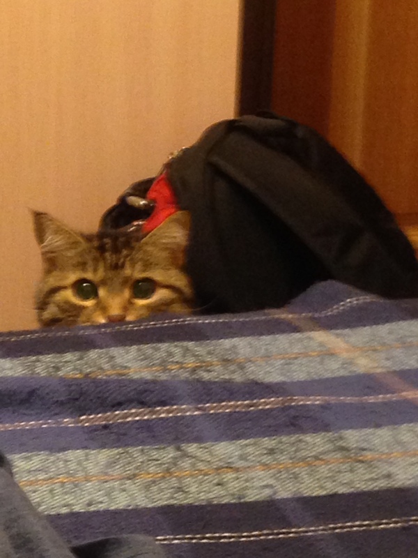 ��� ��� ��� � ���?