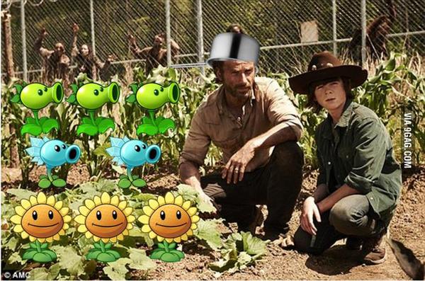 Plants VS Walking Zombies