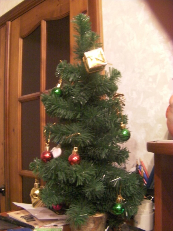 ��������� ���� ����