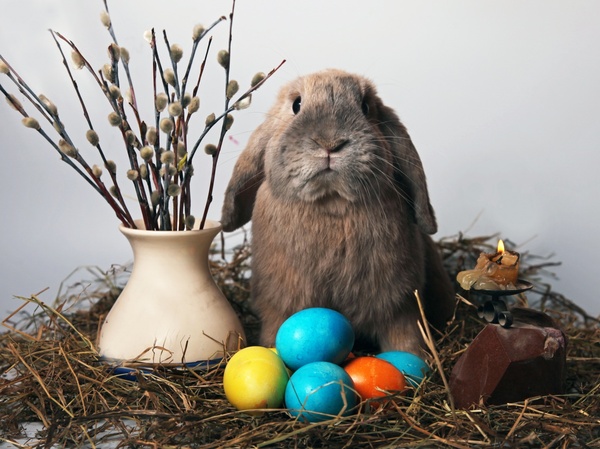 ТЕМА ДНЯ НА УКРАИНЕ