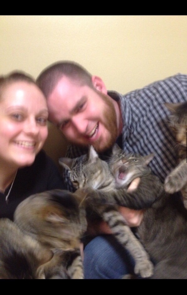 &quot;&quot;       .