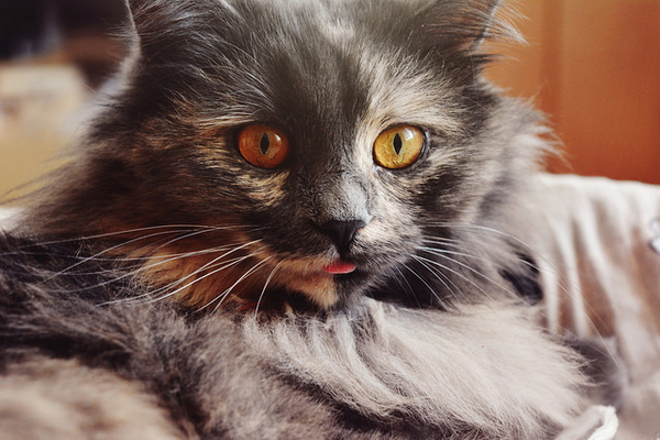 ��� �� �������������� :)