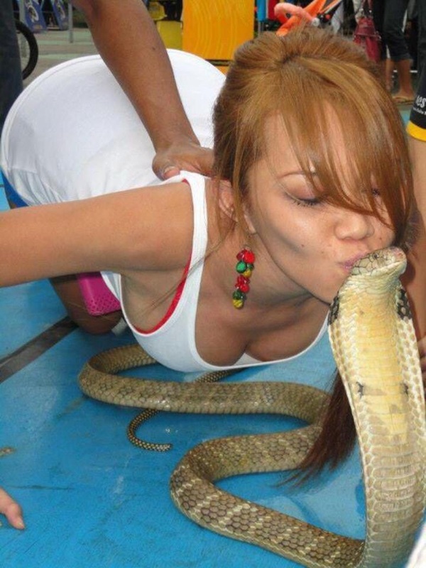 ������ ����� ���������, ����� ������� � �������� �� ��������� �����.