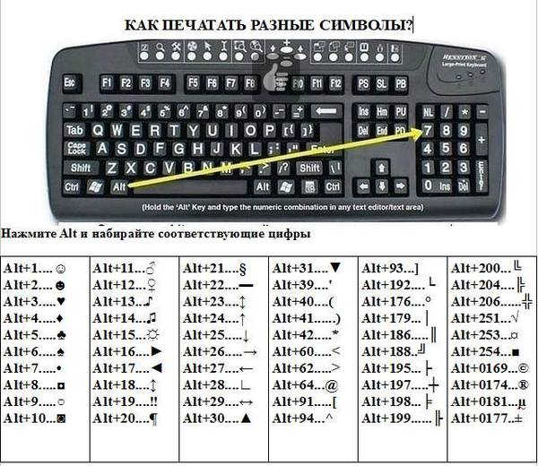 Live and learn - Keyboard, Seal, Symbol, Computer, Symbols and symbols