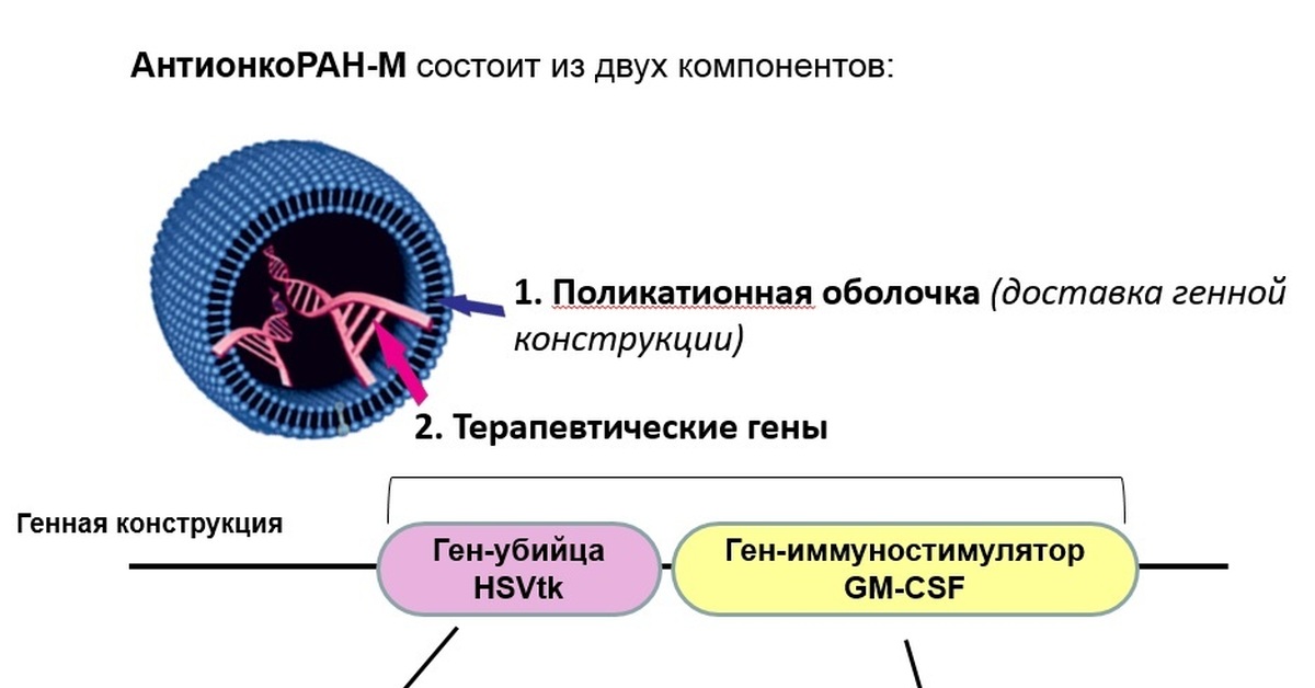 Несколько компонентов. АНТИОНКОРАН-М. «АНТИОНКОРАН-М» НТИ. Состоят из двух компонентов. АНТИОНКОРАН-М фото.