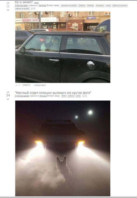 ���������� ����������.