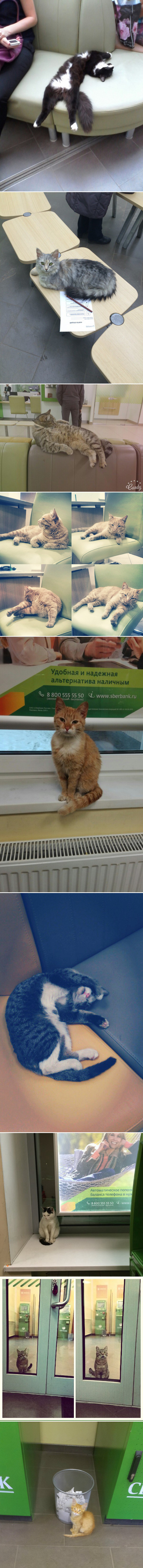 ������ ��������� �.2