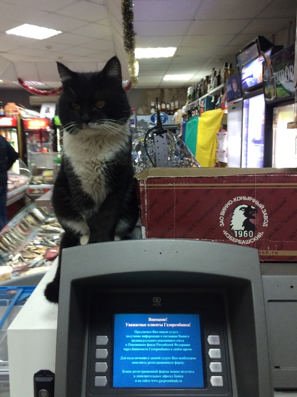 Система охраны и видеонаблюдения