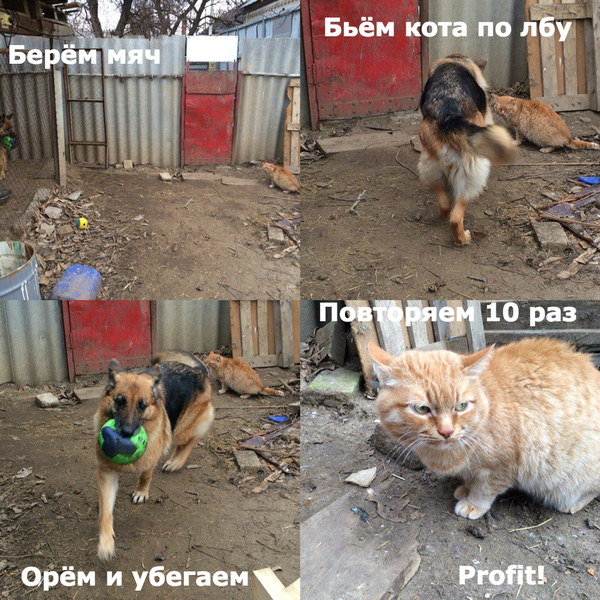 ��� � ���