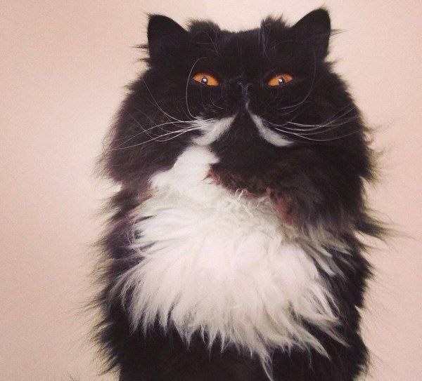 ���������� �����...