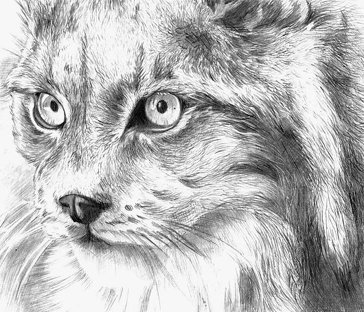 Рисунок карандашом | Пикабу