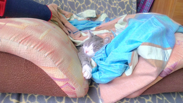 ������ � ���� ���� ��� ��� ���. � ��� �� �����!