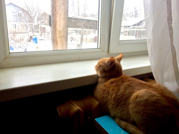 ��� ����� ����