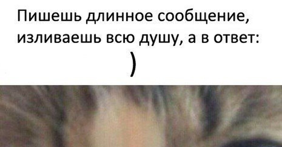 Написано душой. Изливаешь душу а в ответ понятно. Мем длинное сообщение. Когда излил душу а в ответ. Пишешь длинное сообщение.