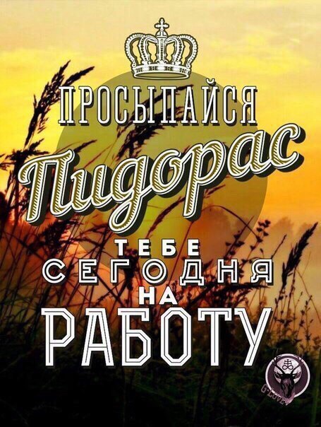 Заголовок | Пикабу
